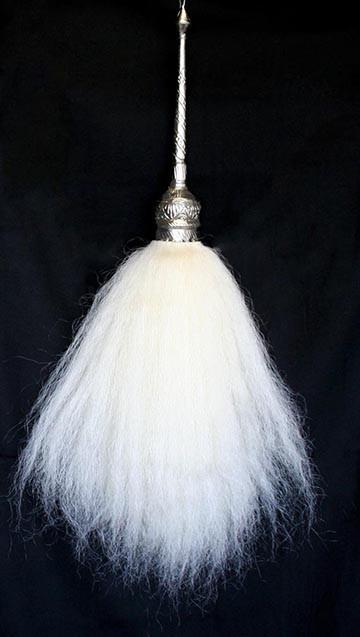 Chamara Whisk - Touchstone Media