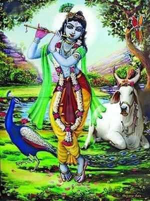 Ocean of Love: 8 Detachable Posters Ready for Frame - Touchstone Media